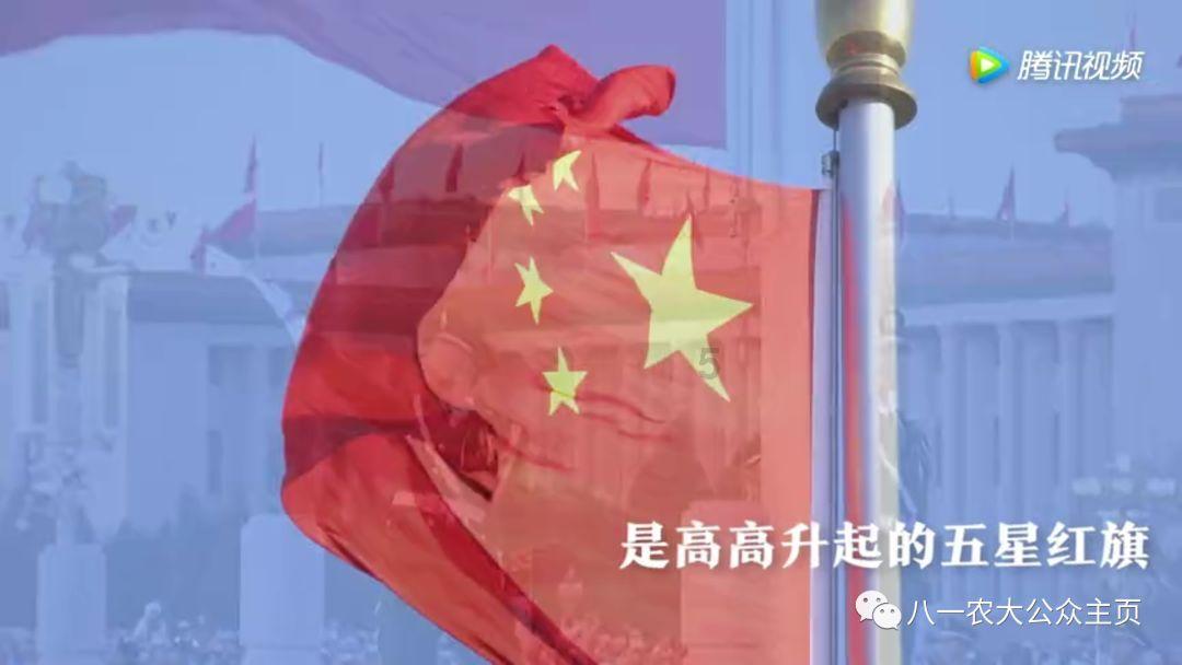 小猫钓鱼开船版最新版下载